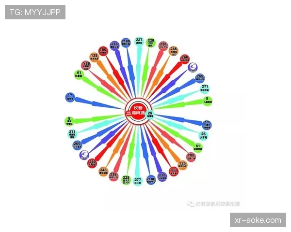 柏林联队社区球场改造记：如何用低成本技术提升本地球迷的线下观赛体验